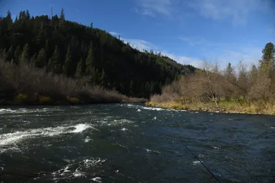 DSC_0234 (Large).JPG